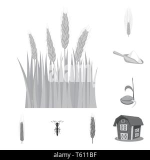 L'orge de printemps,farine,graines,voler,grenier,spike,repas,hiver,grandir,insectes,bâtiment,campagne,culture,la germination,maïs,céréales,insecticide,remise,automne,mûres,cuillère,processus,vert,killer,pain,DE,plantation,usine,seigle blé,maïs,grain,récolte,ferme,terrain,agriculture,agriculture,,set,icône,,illustration,collection,isolé,design,graphisme,élément signe,gris,noir,vecteurs vecteur , Illustration de Vecteur