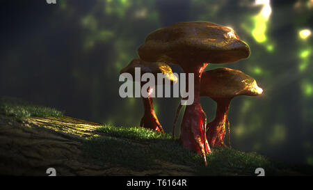 Les champignons qui poussent sur un vieux tronc d'arbre dans une forêt sombre Banque D'Images