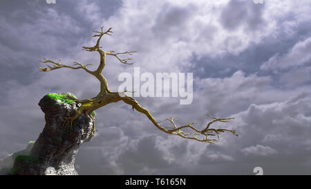 Vieil arbre poussant sur un rocher, un paysage de conte de fées, fantaisie 3d illustration background Banque D'Images