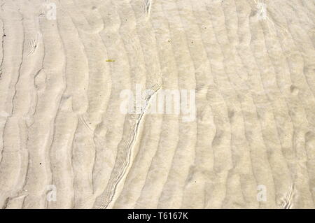 Windmade et motif ondulations dans le sable du désert Banque D'Images