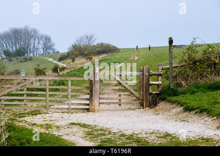 Gate sur sentier pour en Harting Parc National des South Downs. South Harting, West Sussex, Angleterre, Royaume-Uni, Angleterre Banque D'Images