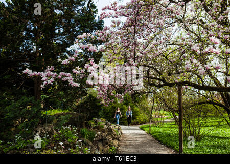 ZAGREB, CROATIE - AVRIL, 2018 : les personnes au jardin botanique dans une belle journée de printemps précoce à la basse-ville à Zagreb Banque D'Images