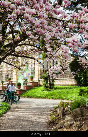 ZAGREB, CROATIE - AVRIL, 2018 : les personnes au jardin botanique dans une belle journée de printemps précoce à la basse-ville à Zagreb Banque D'Images