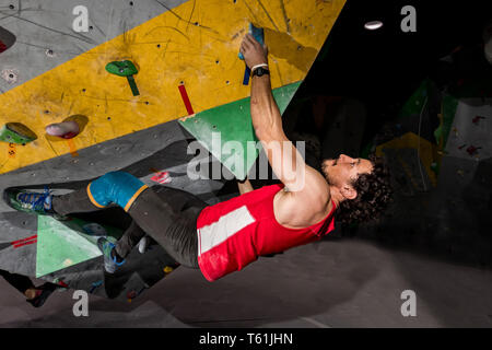 Rock climber hanging man sur un mur d'escalade de bloc, à l'intérieur sur les crochets de couleur Banque D'Images