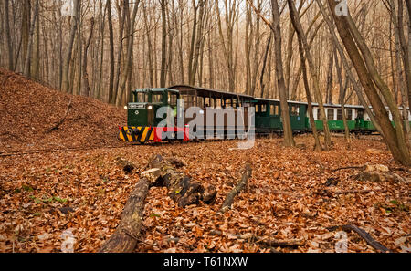 Le train à voie étroite à Mahóca dans le Parc National de Bükk, Hongrie Banque D'Images