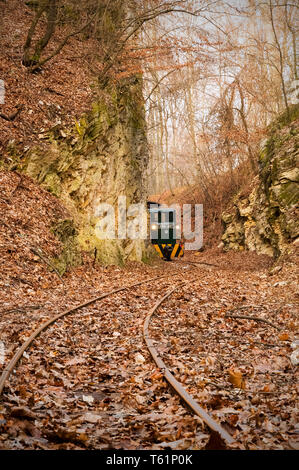 Le train à voie étroite à Mahóca dans le Parc National de Bükk, Hongrie Banque D'Images