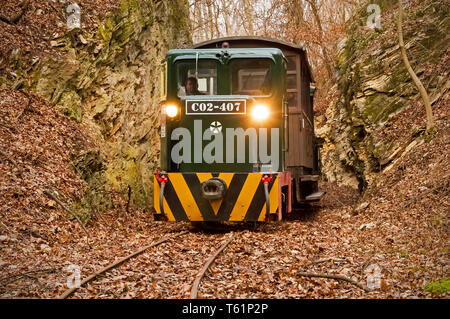 Le train à voie étroite à Mahóca dans le Parc National de Bükk, Hongrie Banque D'Images