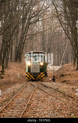 Le train à voie étroite à Mahóca dans le Parc National de Bükk, Hongrie Banque D'Images