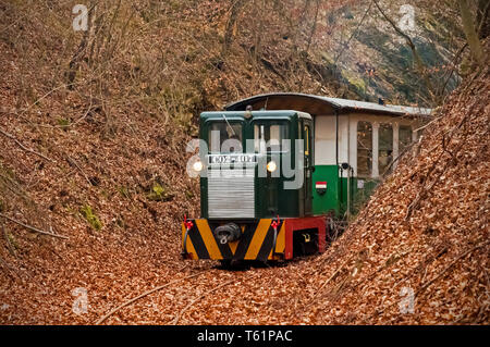 Le train à voie étroite à Mahóca dans le Parc National de Bükk, Hongrie Banque D'Images