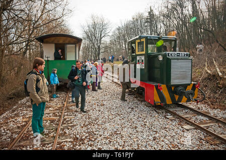 Le train à voie étroite à Mahóca dans le Parc National de Bükk, Hongrie Banque D'Images