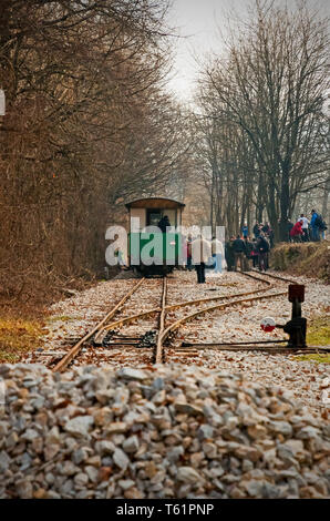 Le train à voie étroite à Mahóca dans le Parc National de Bükk, Hongrie Banque D'Images