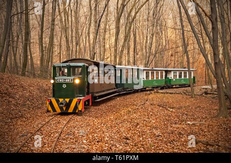 Le train à voie étroite à Mahóca dans le Parc National de Bükk, Hongrie Banque D'Images