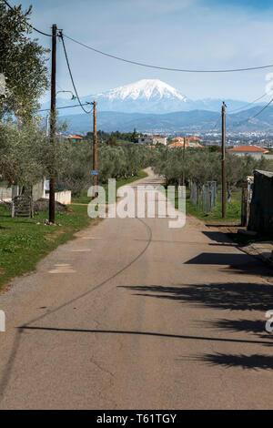 Près de village Avlida,a country road serpente à travers les terres agricoles dans la direction de l'Olympe dont le sommet enneigé montre à l'horizon. Banque D'Images