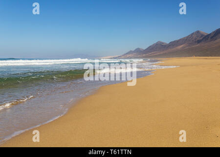 Plage de Cofete, Jandia peninsula, Fuerteventura, îles Canaries, Espagne Banque D'Images