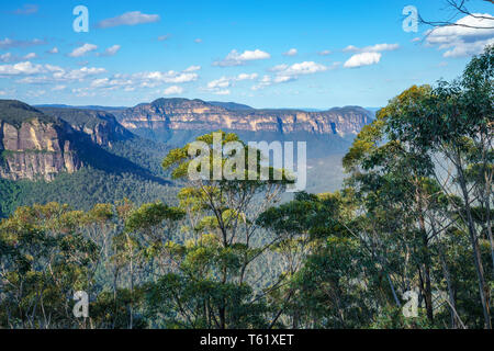 Randonnées la falaise voie, Blue Mountains National Park, New South Wales, Australie Banque D'Images