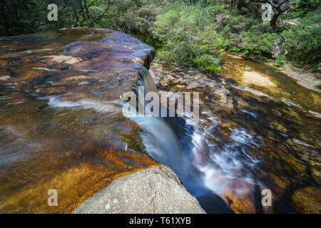 Cascade sur une piste de marche de weeping rock, Blue Mountains National Park, New South Wales, Australie Banque D'Images