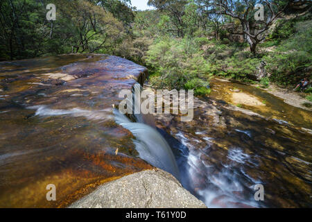 Cascade sur une piste de marche de weeping rock, Blue Mountains National Park, New South Wales, Australie Banque D'Images