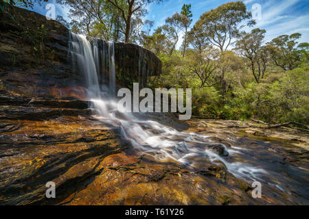 Cascade sur une piste de marche de weeping rock, Blue Mountains National Park, New South Wales, Australie Banque D'Images