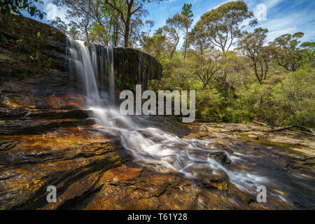 Cascade sur une piste de marche de weeping rock, Blue Mountains National Park, New South Wales, Australie Banque D'Images