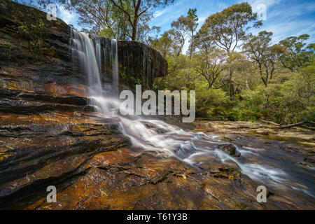 Cascade sur une piste de marche de weeping rock, Blue Mountains National Park, New South Wales, Australie Banque D'Images