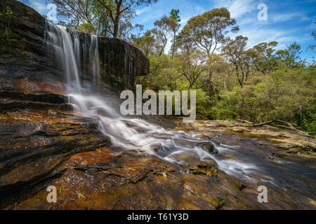 Cascade sur une piste de marche de weeping rock, Blue Mountains National Park, New South Wales, Australie Banque D'Images