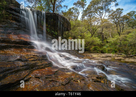 Cascade sur une piste de marche de weeping rock, Blue Mountains National Park, New South Wales, Australie Banque D'Images