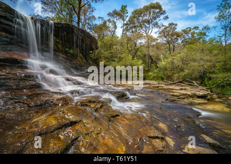 Cascade sur une piste de marche de weeping rock, Blue Mountains National Park, New South Wales, Australie Banque D'Images