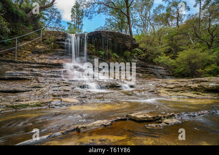 Cascade sur une piste de marche de weeping rock, Blue Mountains National Park, New South Wales, Australie Banque D'Images