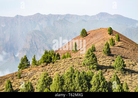 Vue depuis le Montana la Barquita dans paysage de lave rouge sur la Cumbre Vieja à La Palma, Espagne à l'apogée de la Pico Birigoyo. Banque D'Images