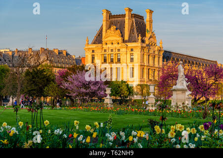 Vue sur le parc des Tuileries et le Louvre avec des fleurs, des statues, fontaine, et les cerisiers en fleurs en avril - Le printemps à Paris, France. Banque D'Images
