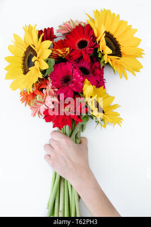 Bouquet de gerbera et de tournesol dans la main de femme sur fond blanc. Banque D'Images