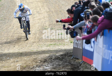 Loic Bruni de France est vu en action lors de la Coupe du Monde de vélo de montagne UCI Finale à Maribor. Banque D'Images