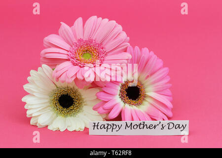 Happy Mothers Day card avec trois marguerites colorées sur fond rose vif Banque D'Images