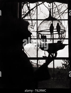 Années 1920, la silhouette ANONYME FEMME DE PROFIL À LA RECHERCHE DE DEUX OISEAUX PERRUCHES DANS OLD FASHION TOUR ANTIQUE CAGE SUSPENDUE - b672 HAR001 AMITIÉ HARS CHERS PERSONNES INSPIRATION PRENDRE SOIN ANIMAUX DOMESTIQUES SÉRÉNITÉ B&W LA LIBERTÉ D'ACTIVITÉ AILE DE COMPÉTENCES AU FOYER LE BONHEUR des ménagères DE LA TÊTE ET DES ÉPAULES LA SILHOUETTE DE LOISIRS PASSE-TEMPS PASSE-TEMPS PASSE-TEMPS D'INTÉRÊT DE LA CONNAISSANCE DU PLAISIR À EN VOLIÈRE HOUSEWIVES IMAGINATION CONCEPTUELLE CONNEXION VERTÉBRÉS élégant anonyme à sang chaud Bon matin AFFECTION ATTACHEMENT PERSONNEL À PLUMES RELAXATION ÉMOTION PERRUCHES AILÉ BIPÈDE AMATEUR NOIR ET BLANC LA PONTE Banque D'Images