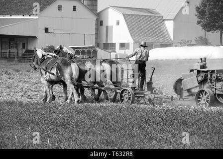 Homme Amish le domaine de récolte sur une journée ensoleillée d'automne Banque D'Images