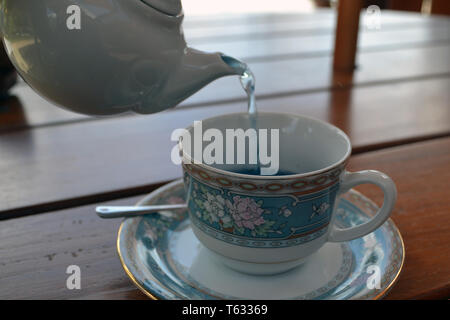 Aussi connu comme le thé oolong, thé bleu est entre le vert et le rouge plateau en raison de la semi-fermentation. Originaires de Chine. Banque D'Images