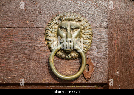 Un détail d'un vieux marteau sur une porte d'un château. Décoré comme un chef d'un lion. Banque D'Images