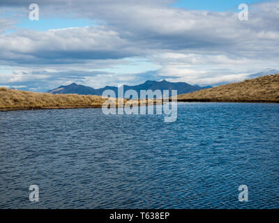 Alpine tarn, en pays de buttes, au-dessus de la limite forestière, vue sur les montagnes lointaines, Mt Burns Piste, Parc National de Fiordland, Southland, Nouvelle-Zélande Banque D'Images