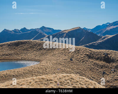 Alpine tarn, en pays de buttes, au-dessus de la limite forestière, vue sur les montagnes lointaines, Mt Burns Piste, Parc National de Fiordland, Southland, Nouvelle-Zélande Banque D'Images