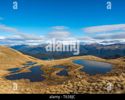 Alpine tarns, dans pays de buttes, au-dessus de la limite forestière, vue sur les montagnes lointaines, Mt Burns Piste, Parc National de Fiordland, Southland, Nouvelle-Zélande Banque D'Images