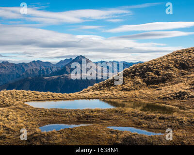 Alpine tarns, dans pays de buttes, au-dessus de la limite forestière, vue sur les montagnes lointaines, Mt Burns Piste, Parc National de Fiordland, Southland, Nouvelle-Zélande Banque D'Images