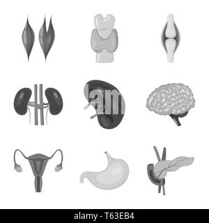 Vector design of internal et médical signe. Prélèvement de la santé et de l'icône vecteur pour stock. Illustration de Vecteur