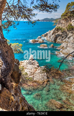 Meurtrisseurs Cala, Lloret de Mar, Costa Brava, Catalogne, Espagne Banque D'Images