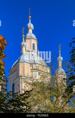 La Cathédrale Saint André, la dernière cathédrale baroque construit à Saint Petersburg, Russie sur Vasilievsky Ostrov Banque D'Images