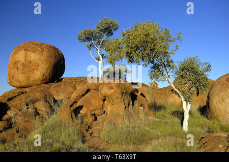 Devils Marbles, Tennant Creek, Territoire du Nord, Australie Banque D'Images