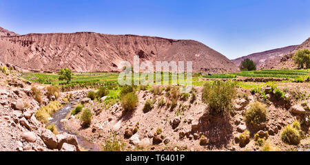 La vallée fertile utilisée pour l'agriculture dans l'Atacama au nord du Chili de programme détalc. Banque D'Images