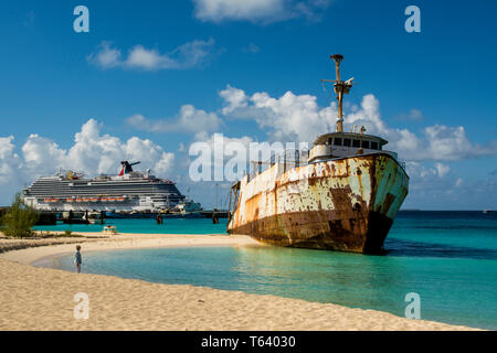 Mega Un Triton d'un naufrage, Governor's Beach, l'île de Grand Turk, Îles Turks et Caicos, Caraïbes. Banque D'Images