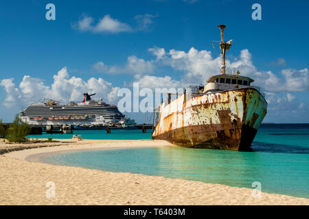 Mega Un Triton d'un naufrage, Governor's Beach, l'île de Grand Turk, Îles Turks et Caicos, Caraïbes. Banque D'Images