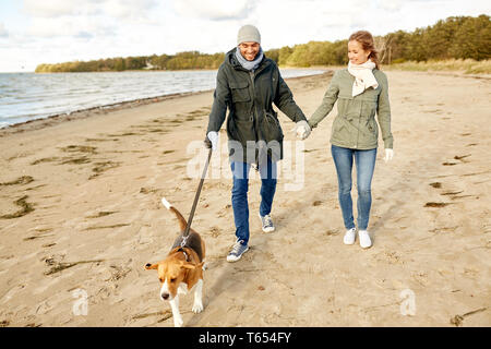 Heureux couple avec chien beagle sur plage d'automne Banque D'Images