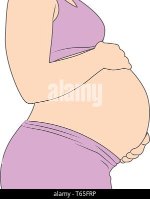 Pregnant woman holding estomac, grossesse image côté Illustration de Vecteur